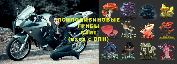 эйфоретик Алексеевка
